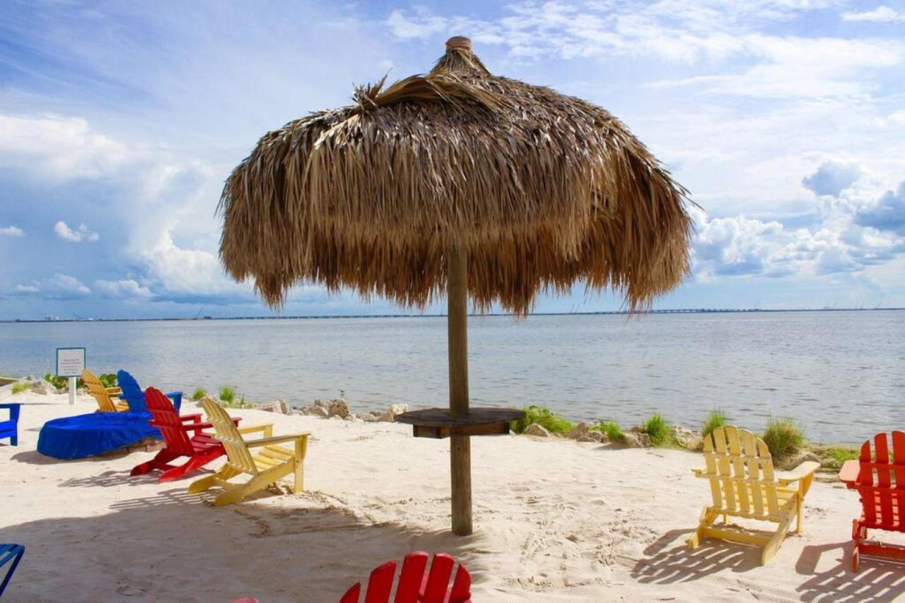 Sunset Paradise - Find Yourself In Tampa Eksteriør billede