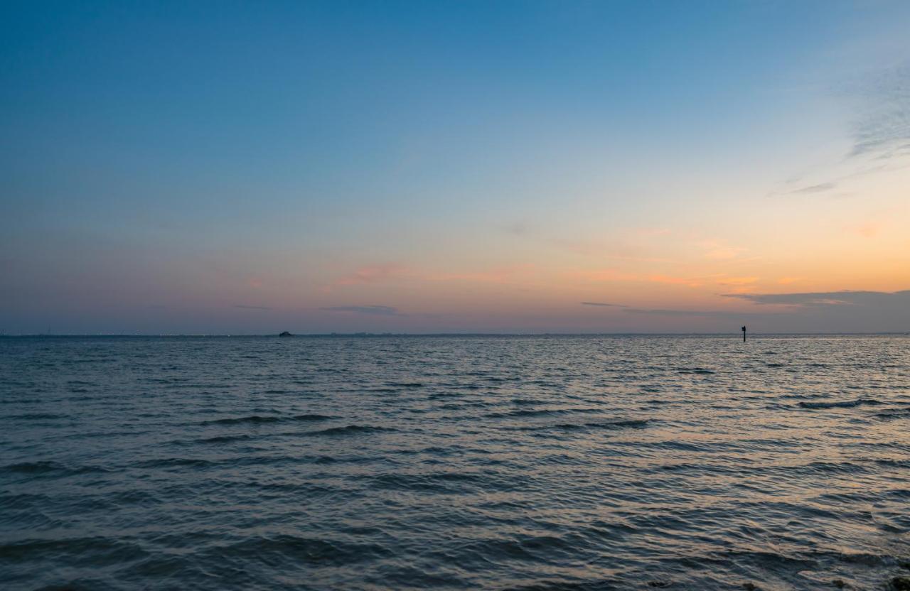 Sunset Paradise - Find Yourself In Tampa Eksteriør billede
